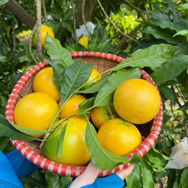 小康农家生活