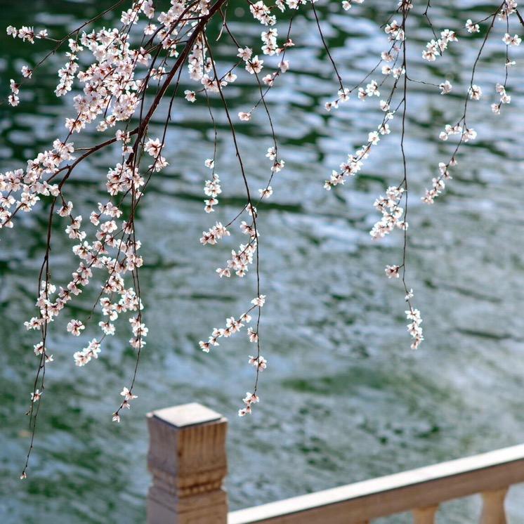 绣花针