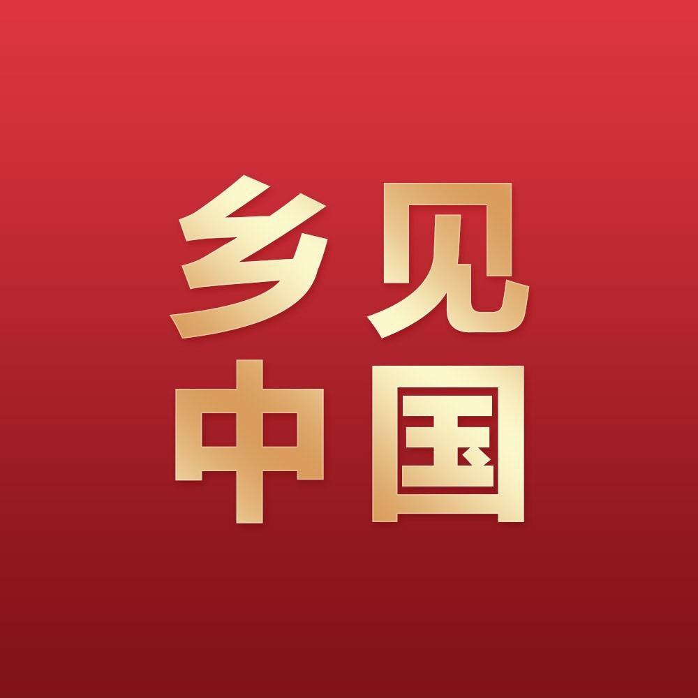 乡见中国