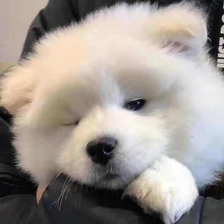 遇见冰