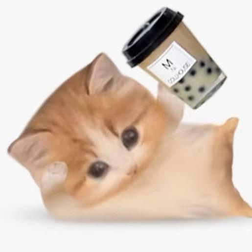 流临叉叉子