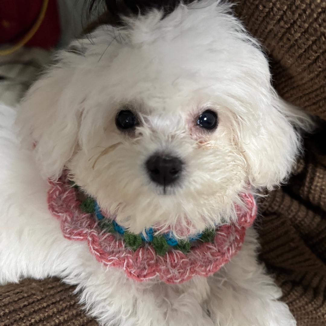 不想上班不想上班不想上班