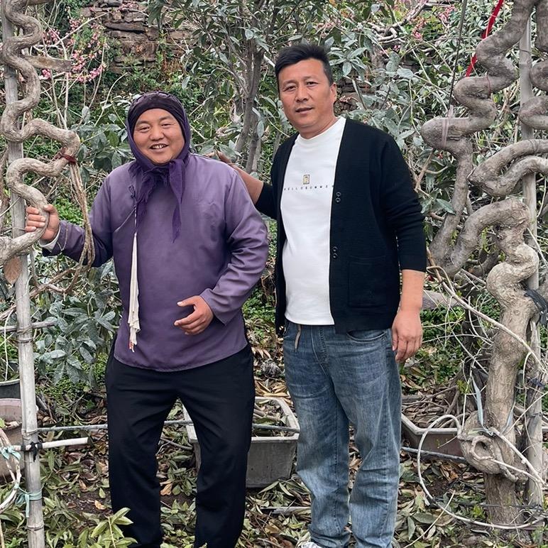 沂蒙山王老三