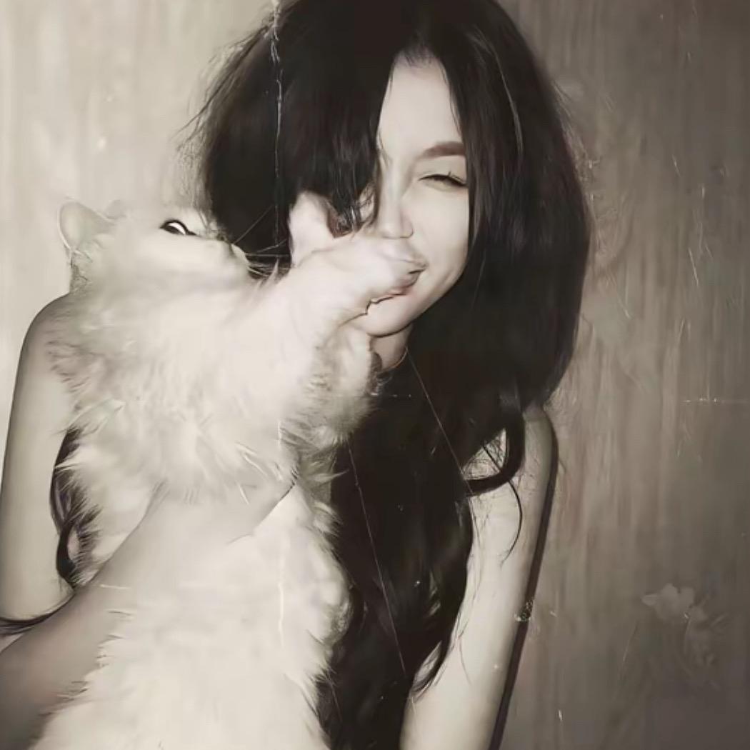 🖤 · ᖭiᖫ ·