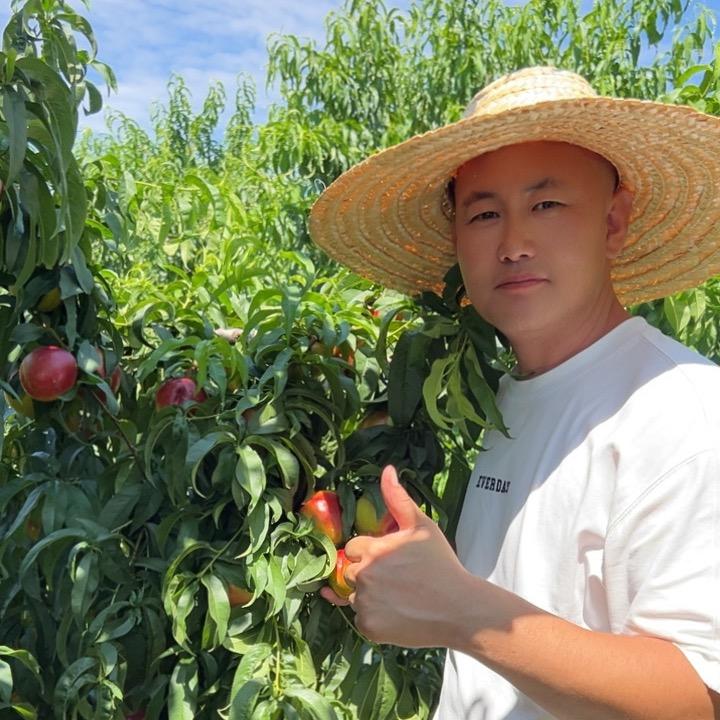 大力，优农乡