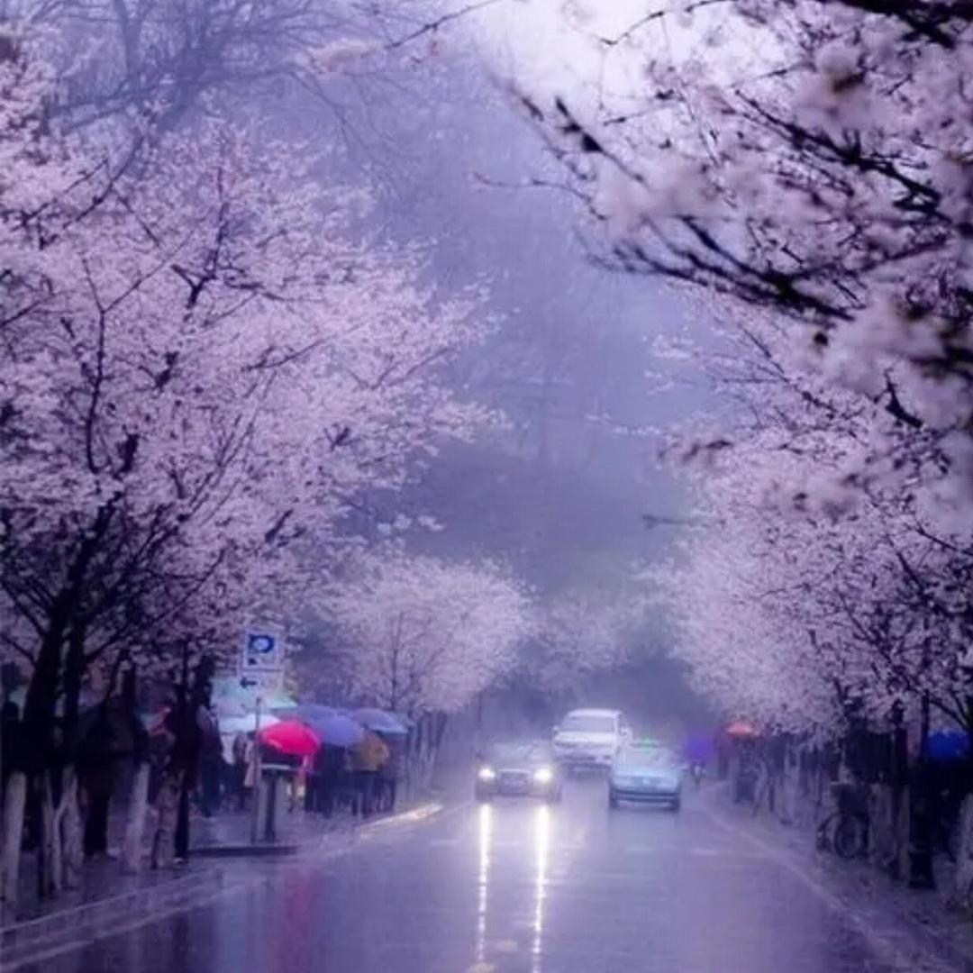 天津小伙子好物分享