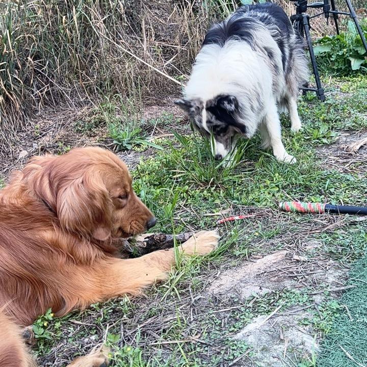 八步坎休闲水库