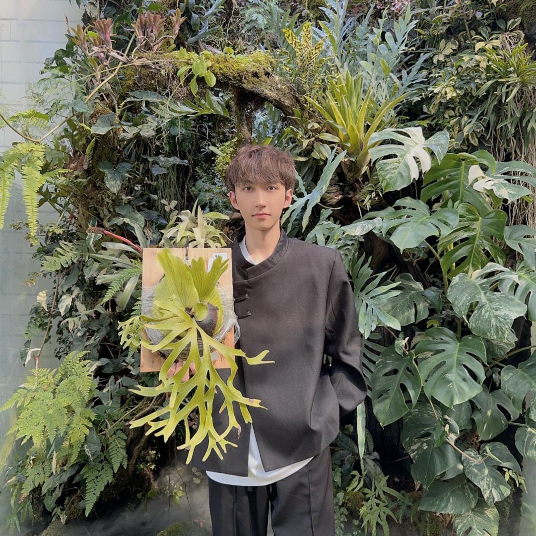 章鱼种花