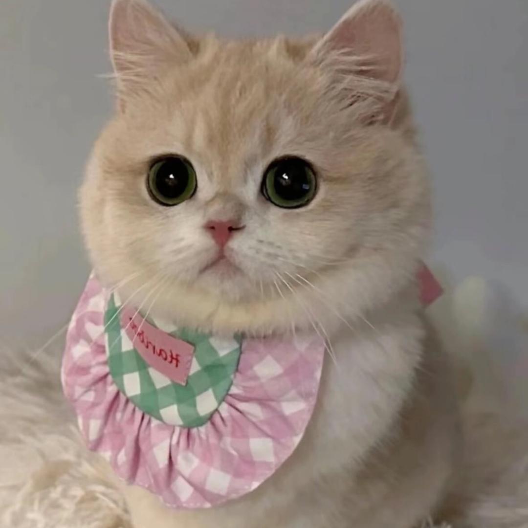 小优