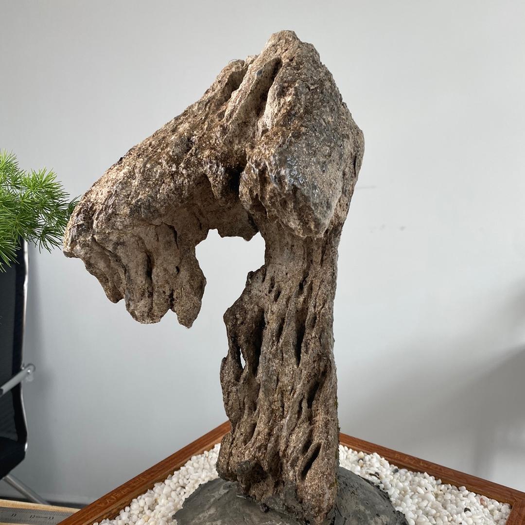 华庭附石盆景