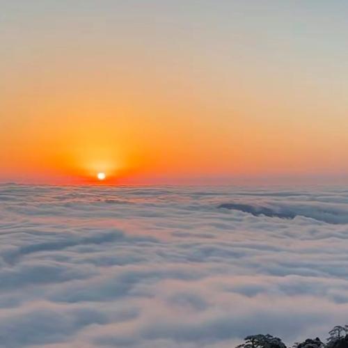 乘风破浪斩荆棘