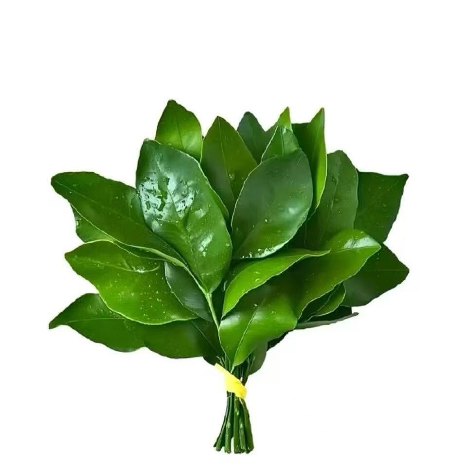 九