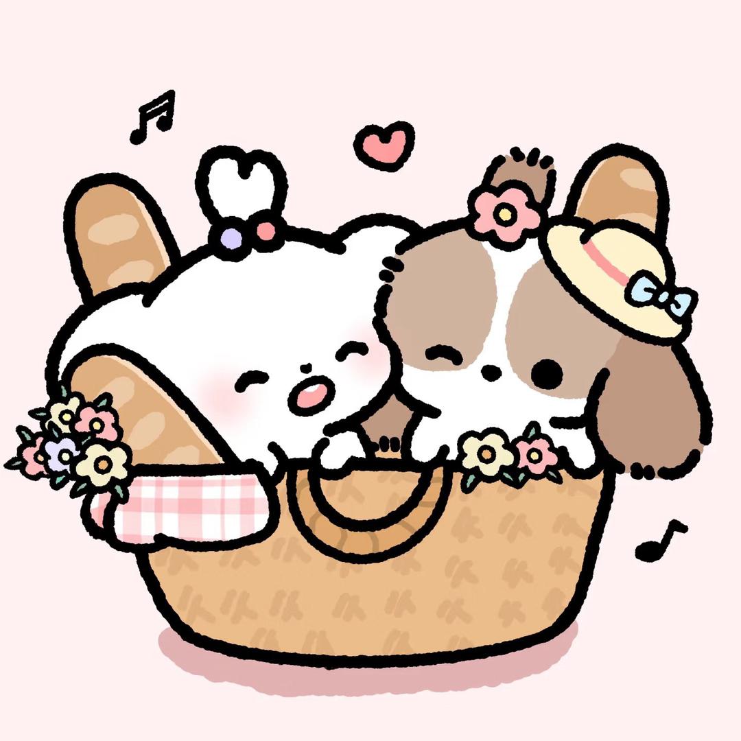 O椰 .