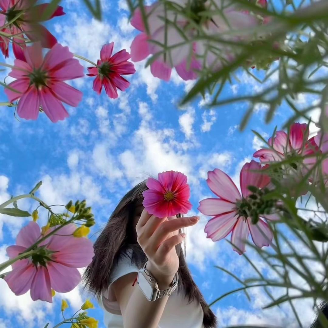 L ⊹꙳✧˖iu