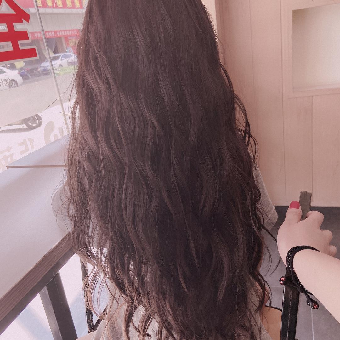茯苓