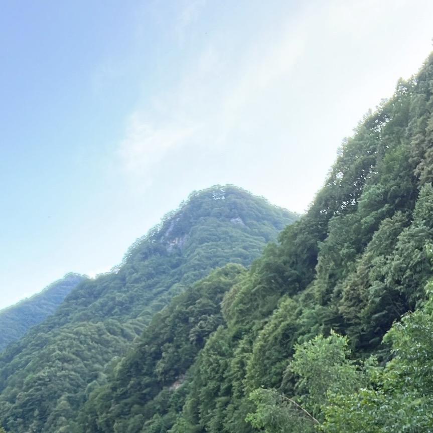 风萧萧