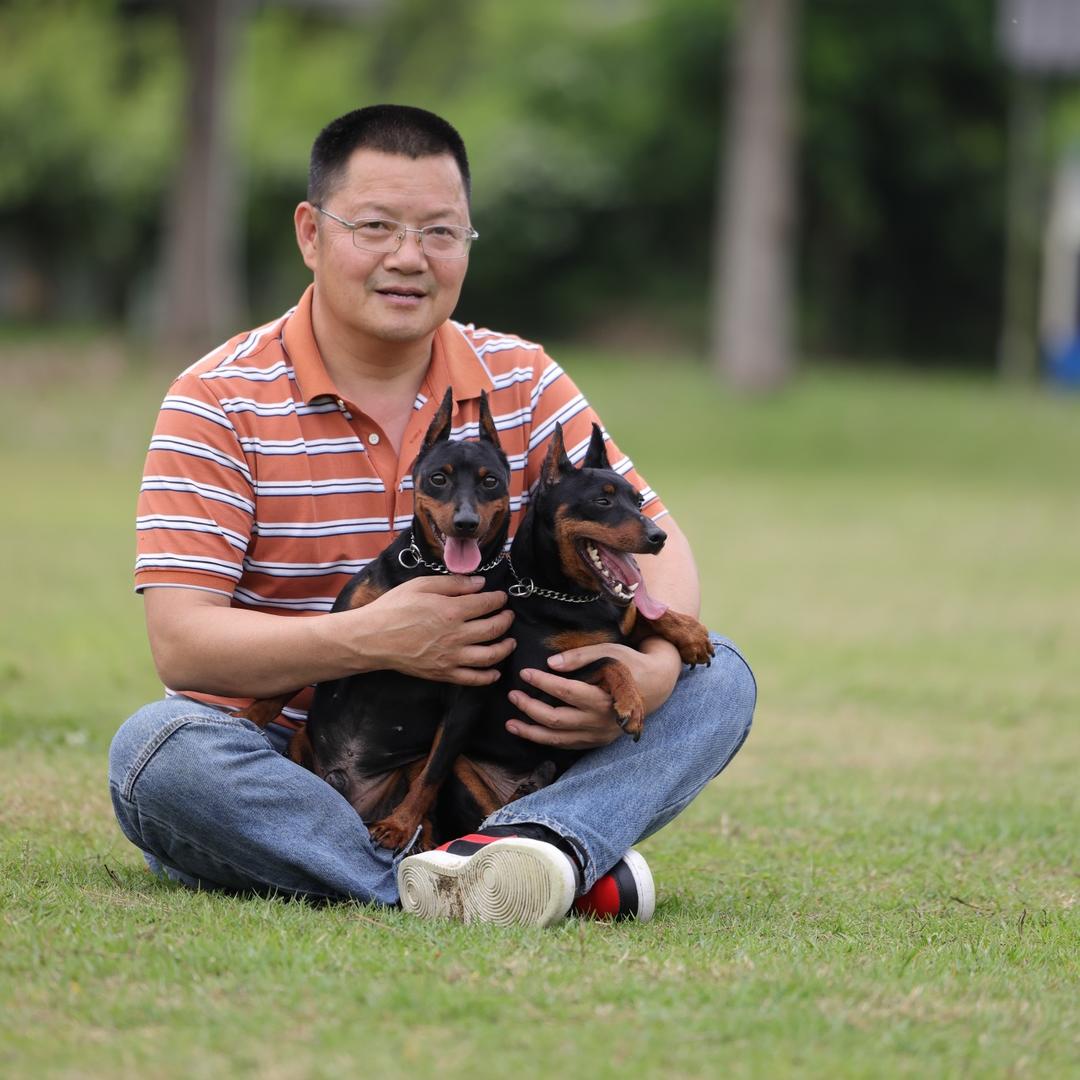 成都张林犬业
