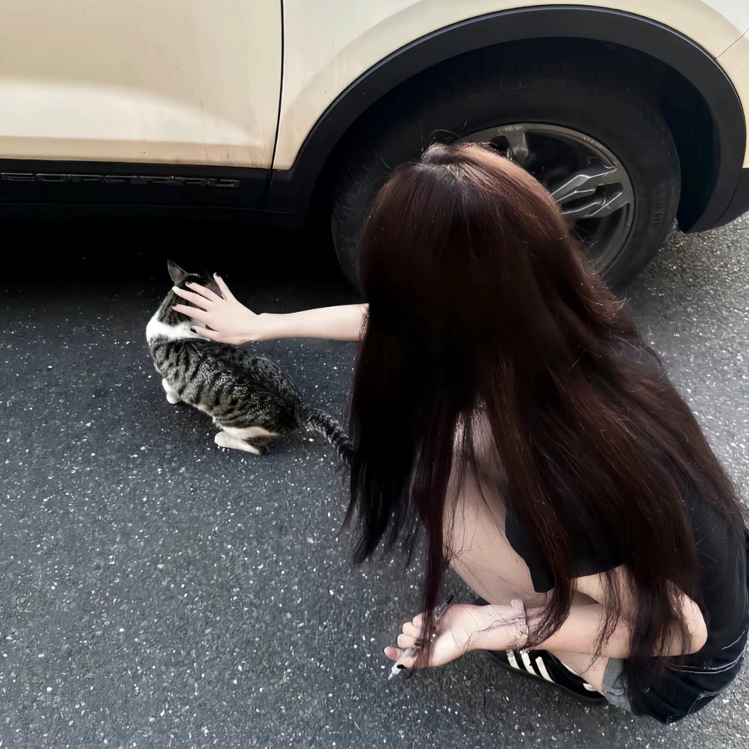 呆᳐呆᳐੭