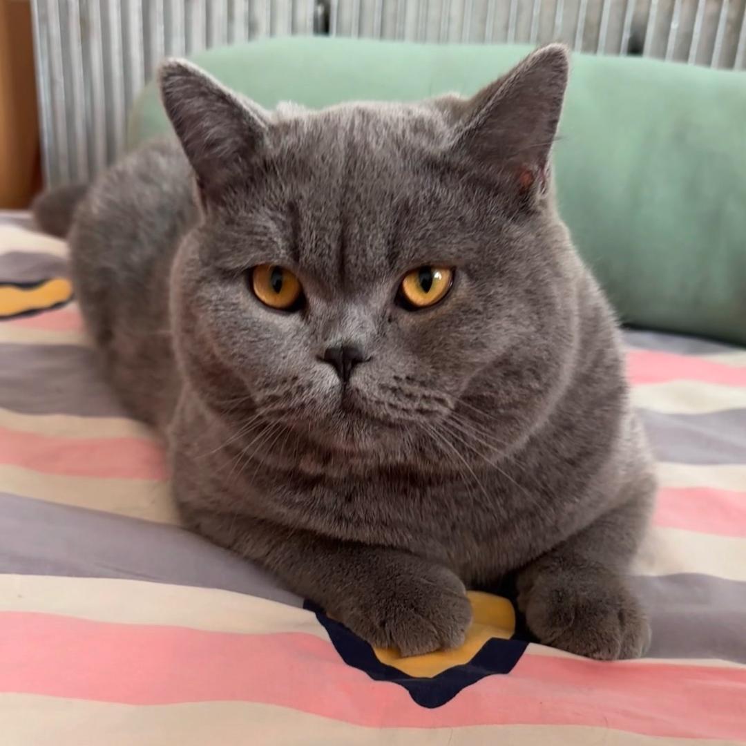 北门一哥李富贵(光棍)