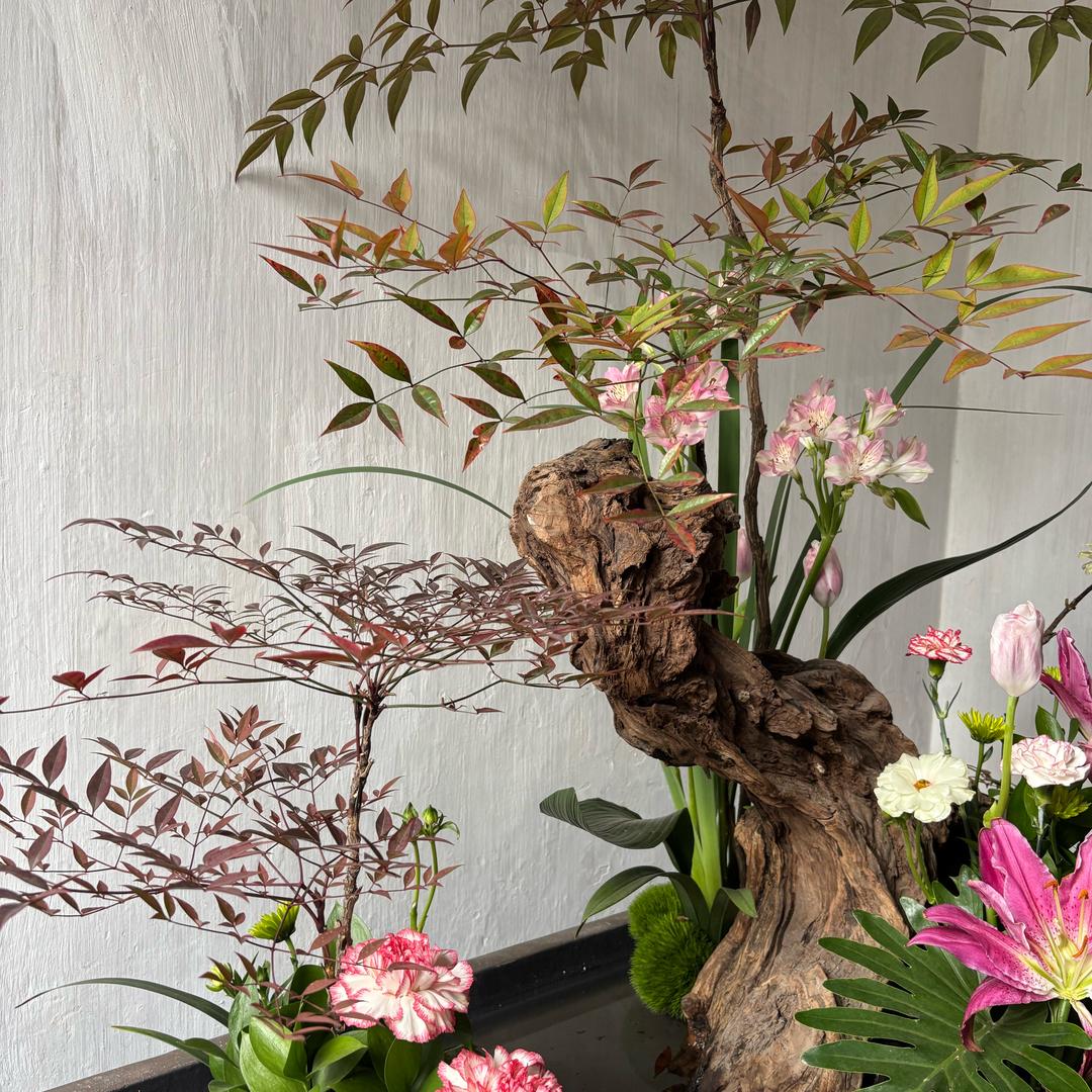 栗子吖（剪辑）