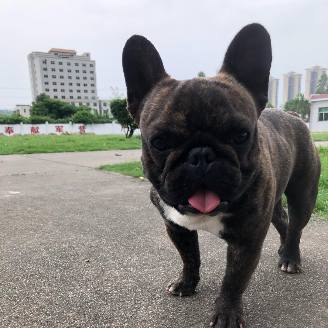 小凯文
