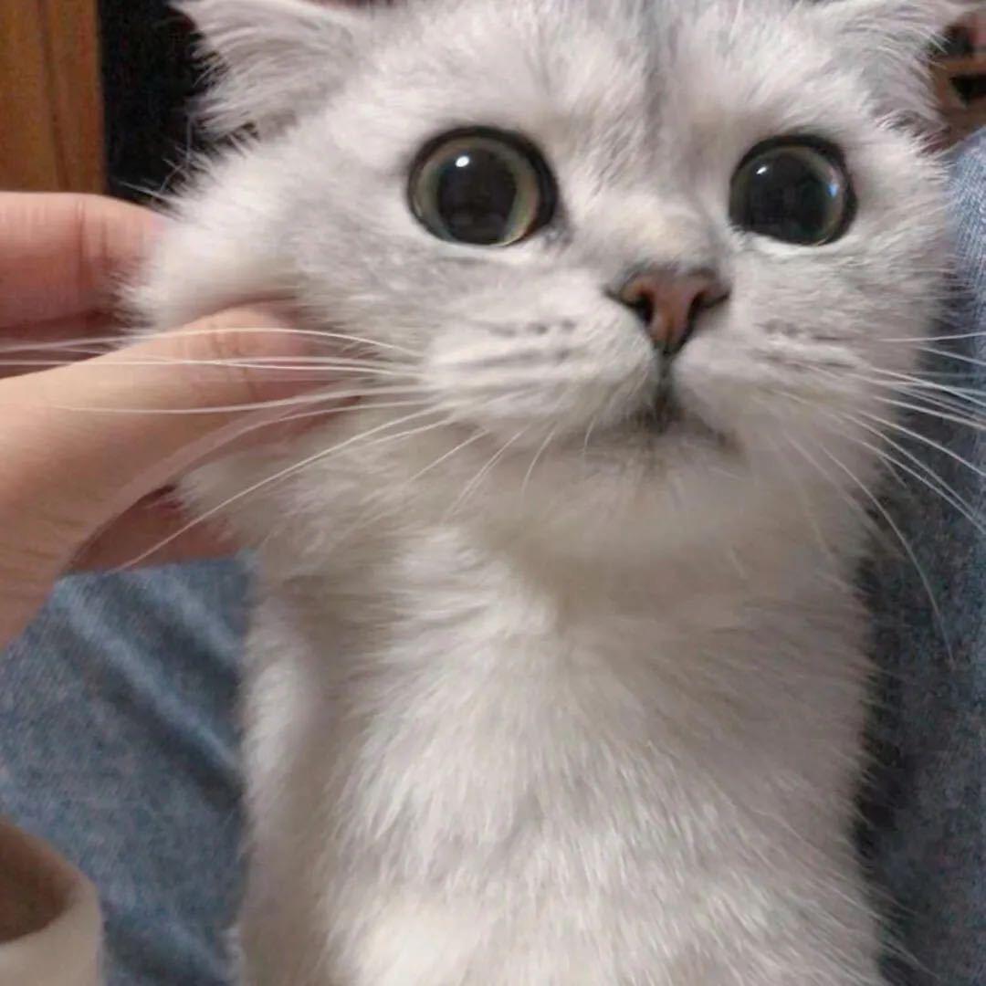 可以💕