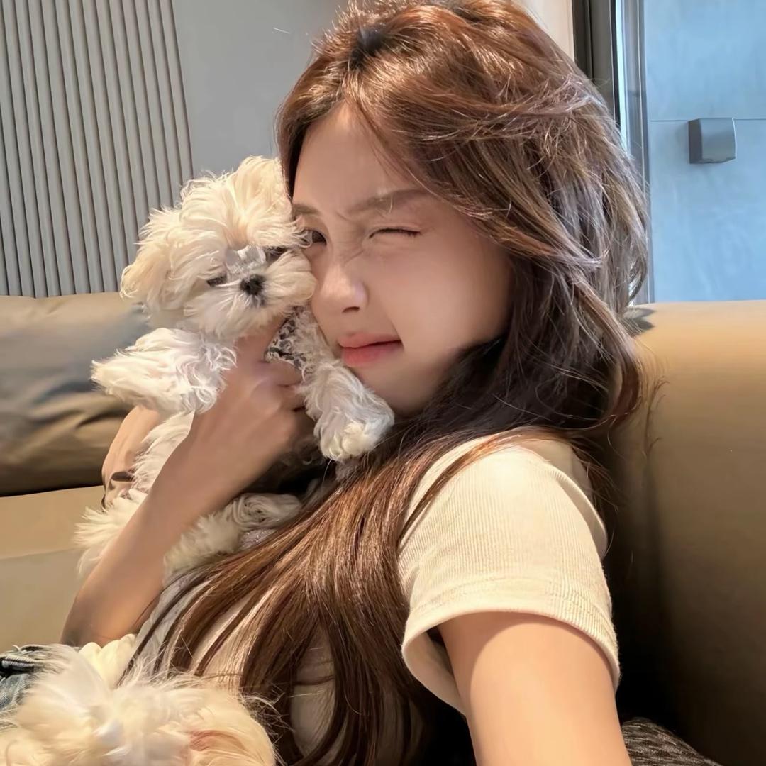 贝贝