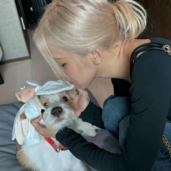 😶‍🌫️🥺❤️‍🔥