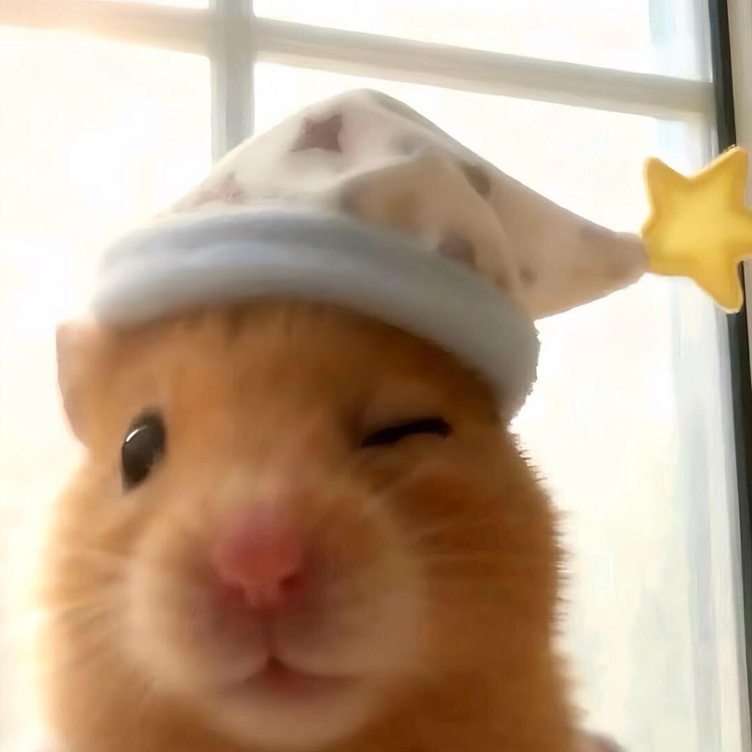 ￴ ︎