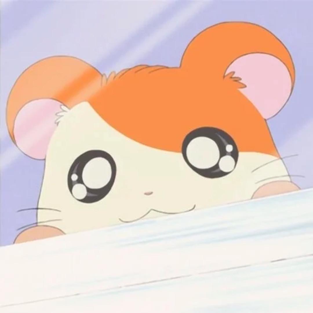 小猪想rua