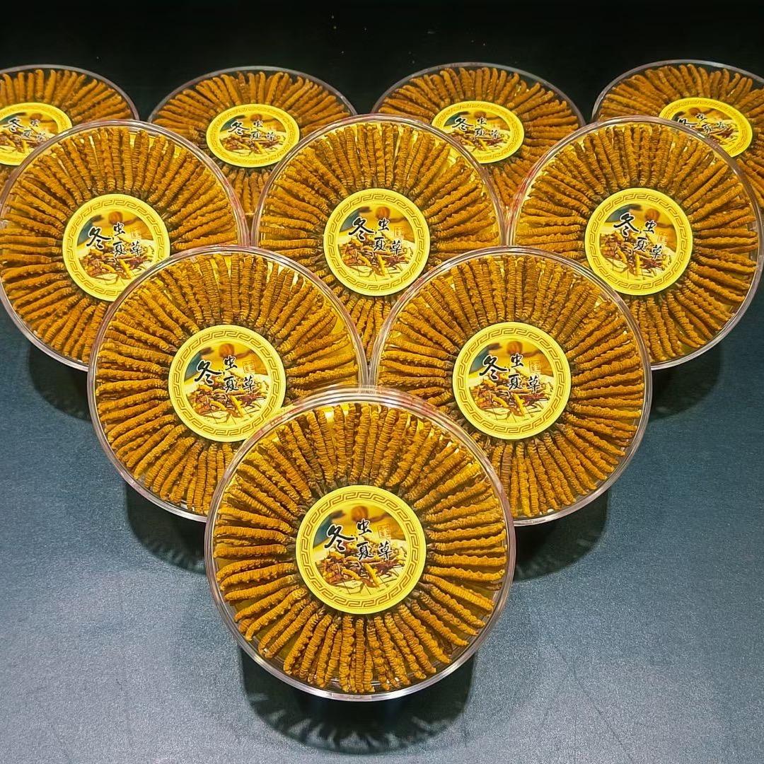 纯野生冬虫夏草