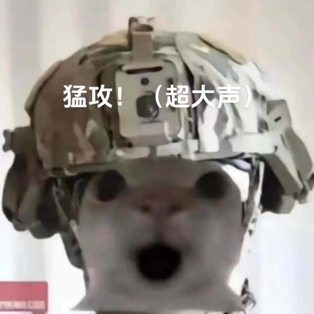 破产夫妇（三角洲行动）
