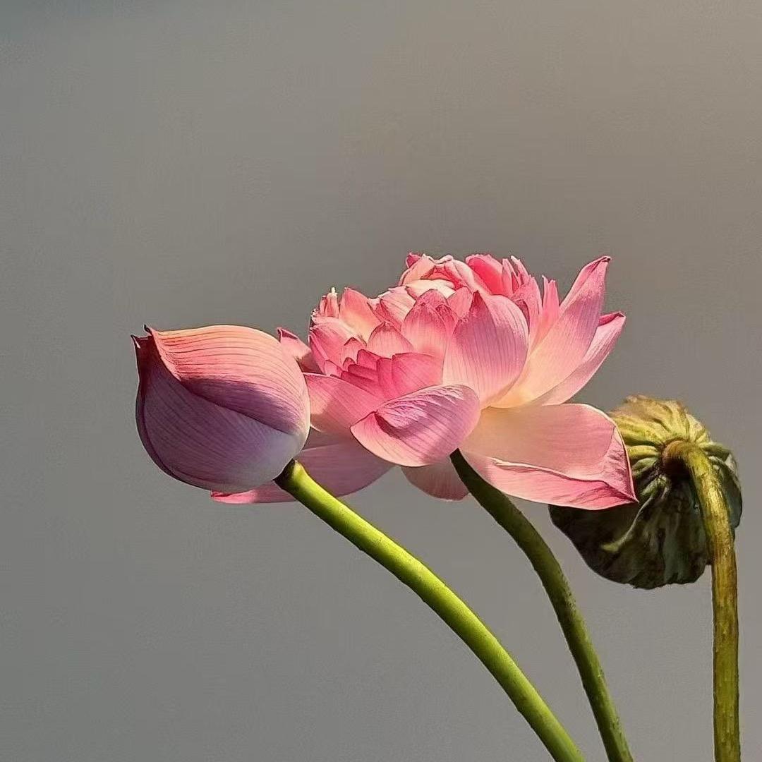 还没想好