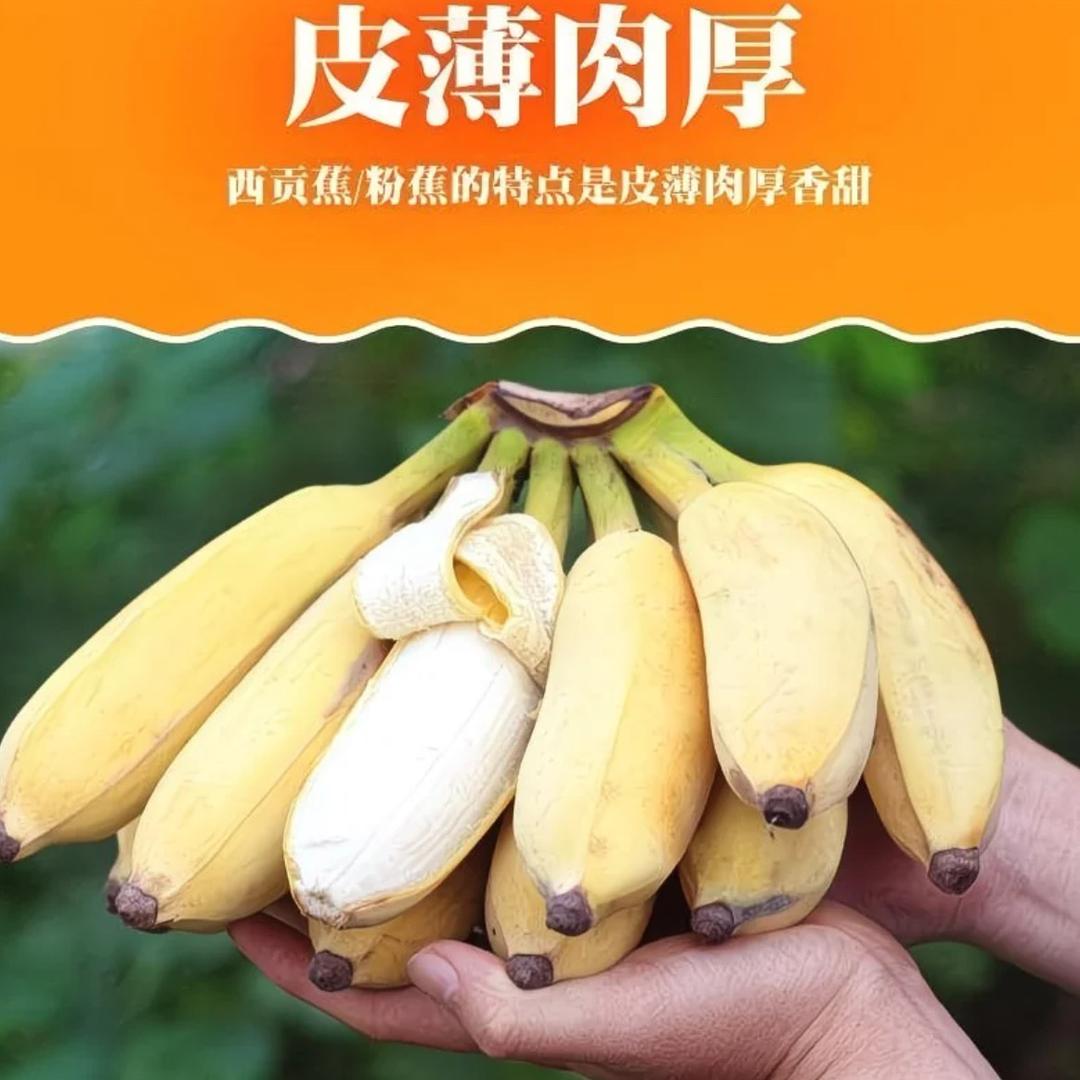 喜之果缘