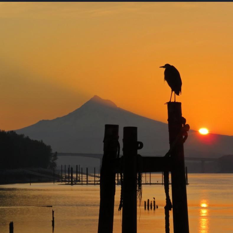 一入文玩深似海