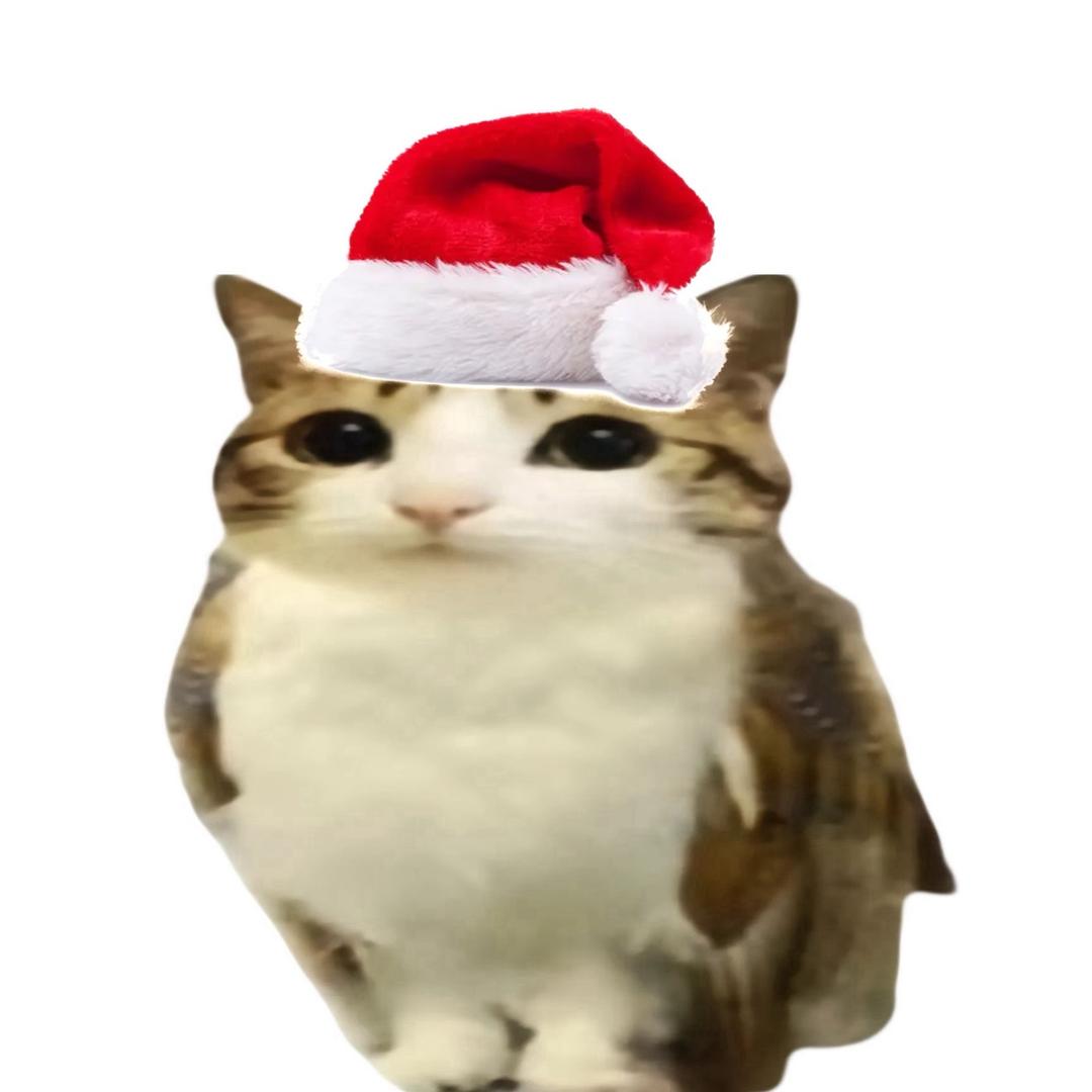 妳