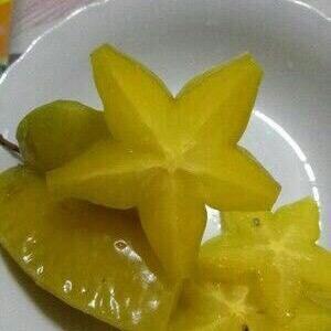 女春夏季