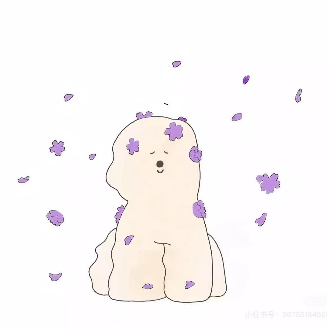 飞飞💜