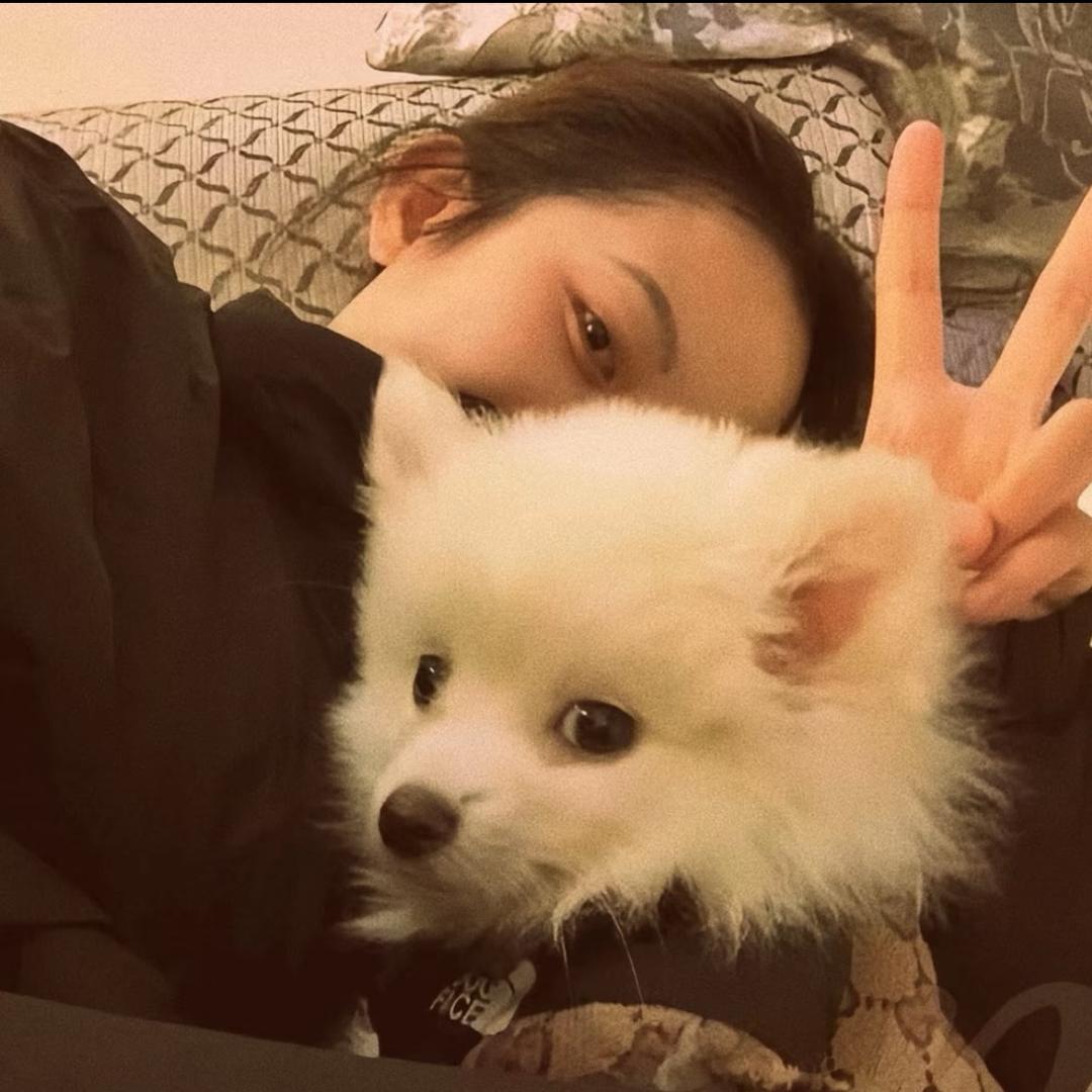 仙女姐姐💛