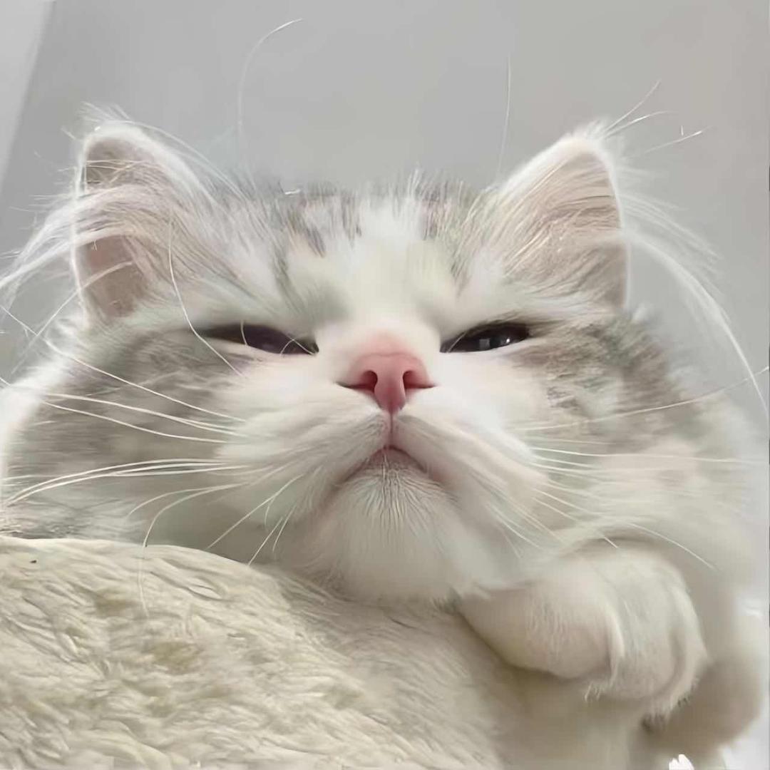 🐾