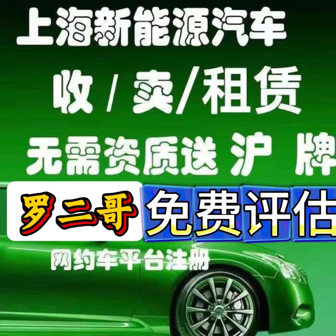 上海罗二哥新能源汽车