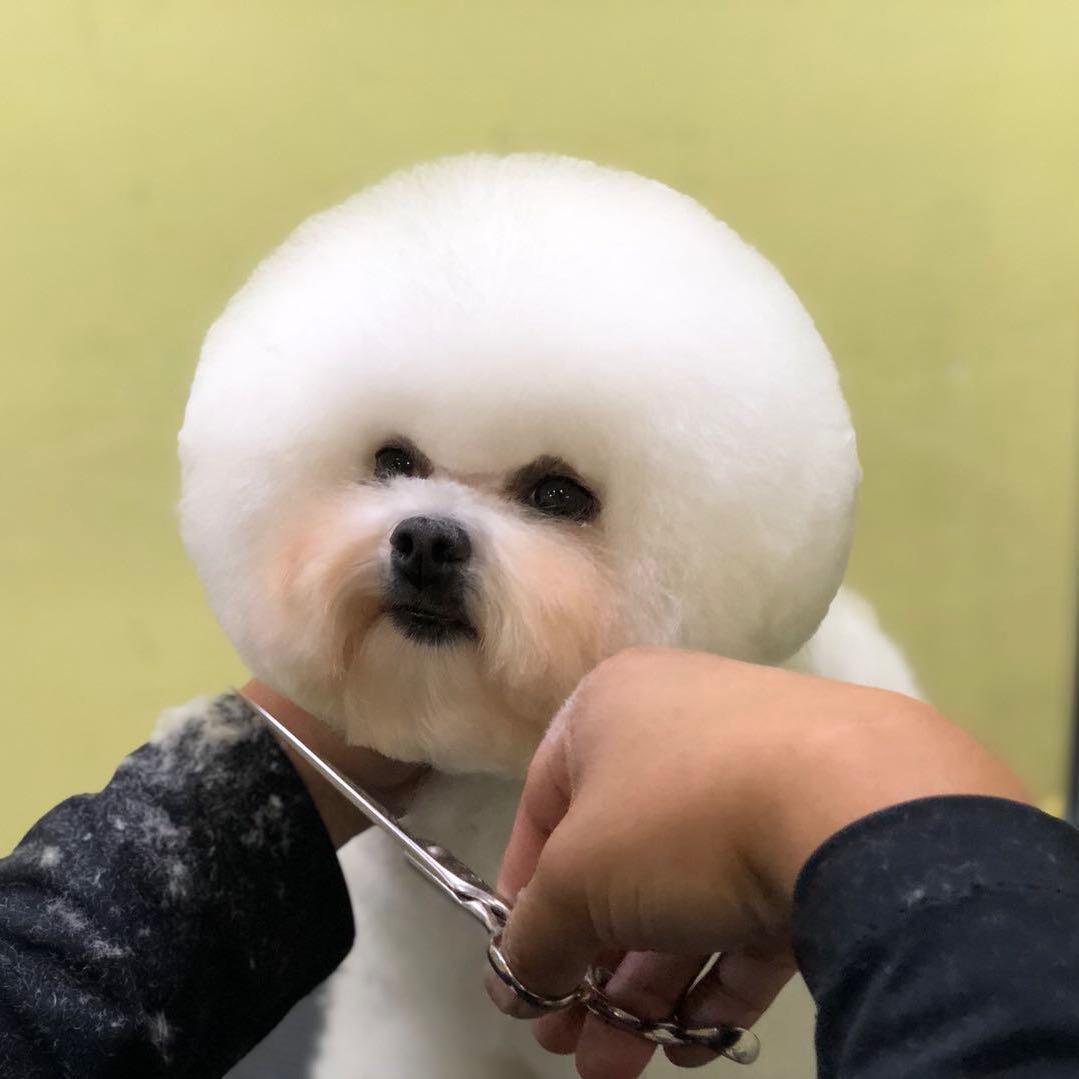 大宇R1