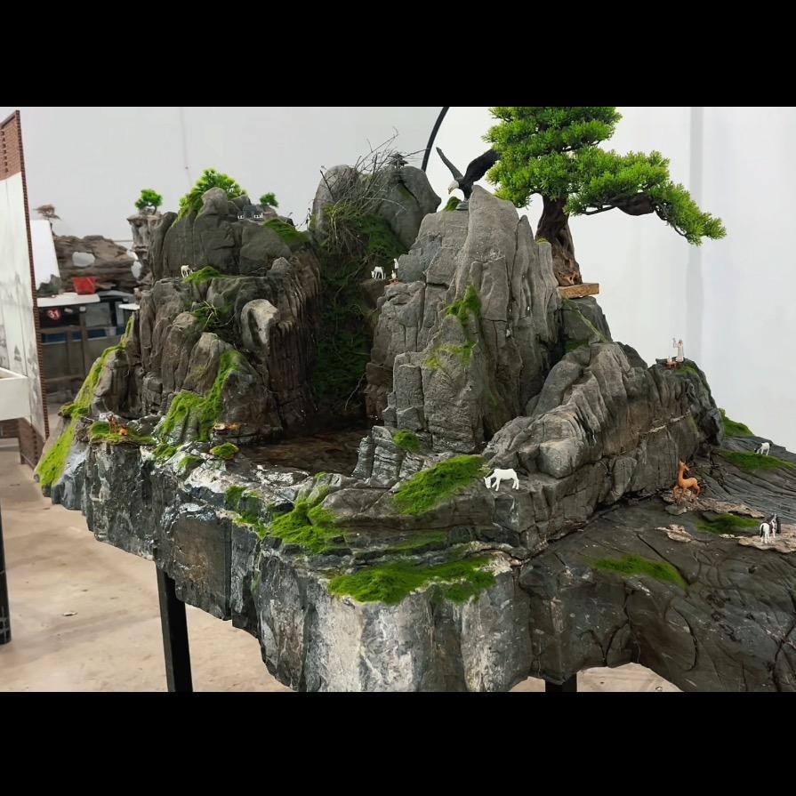小阳•奇石