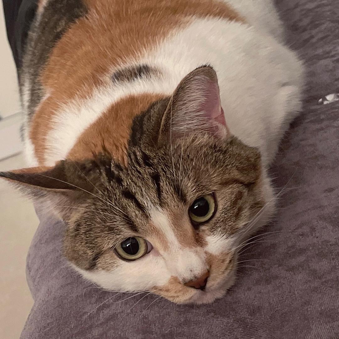 儿子说叫它煤气罐