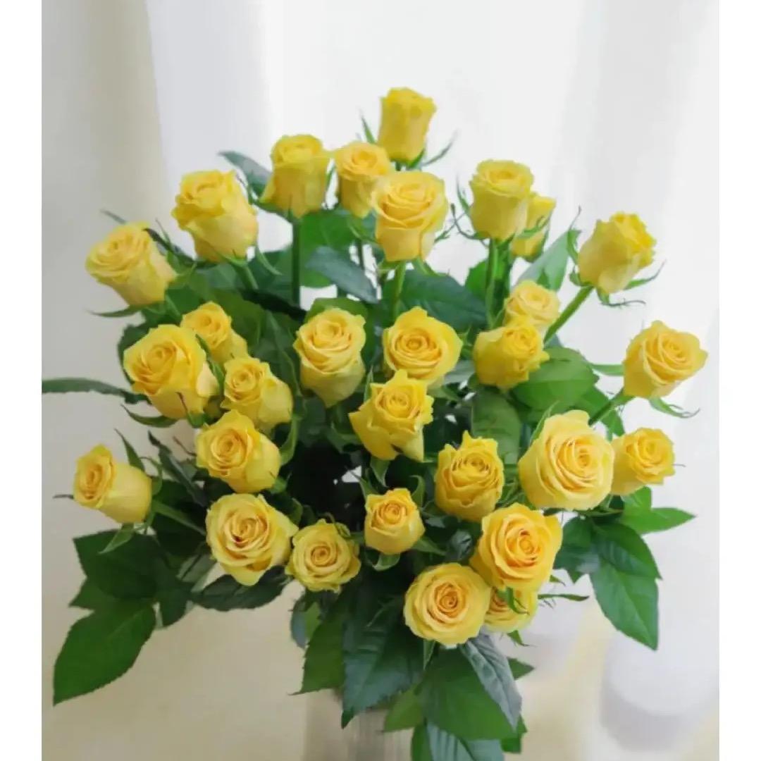 云南清正花卉优品