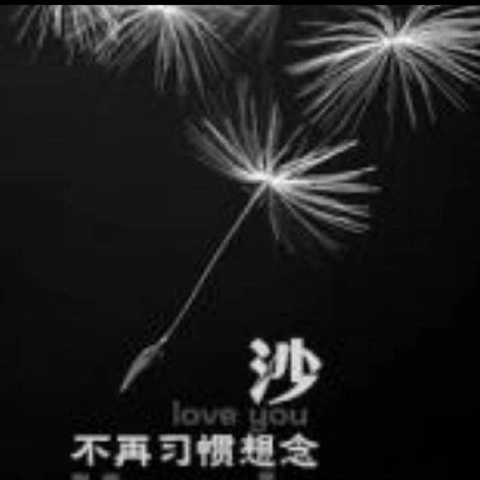 再也不是你的“沙”🍂
