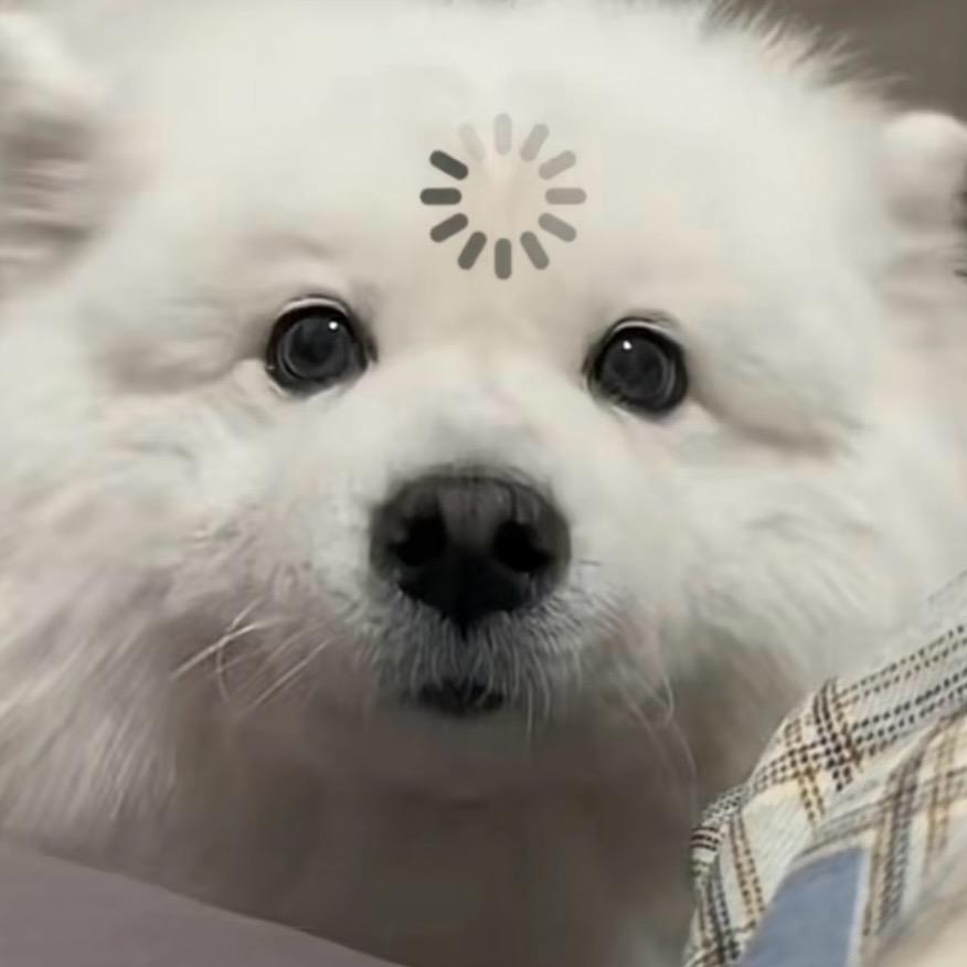 紫晨
