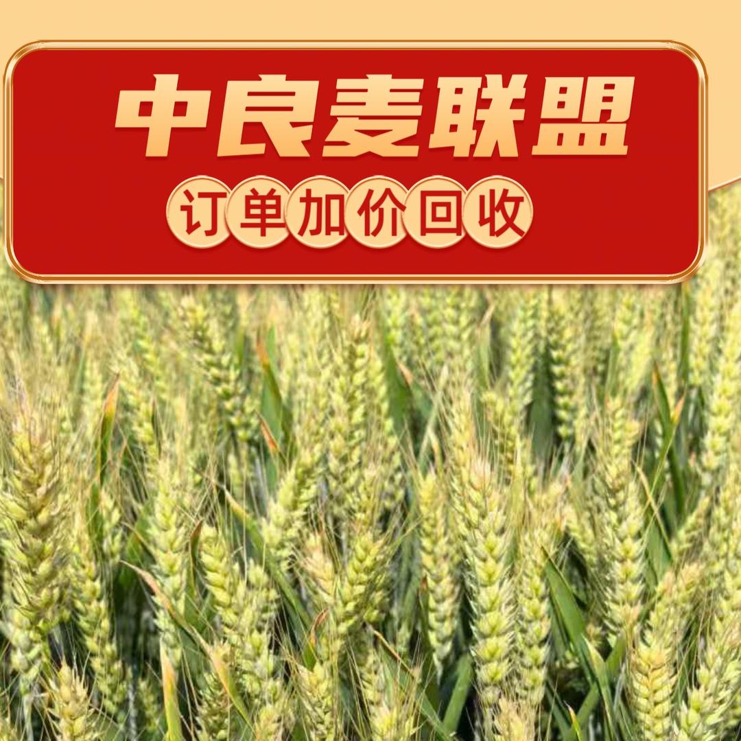 亳州市谯城区良田石磨食品坊（个体工商户）