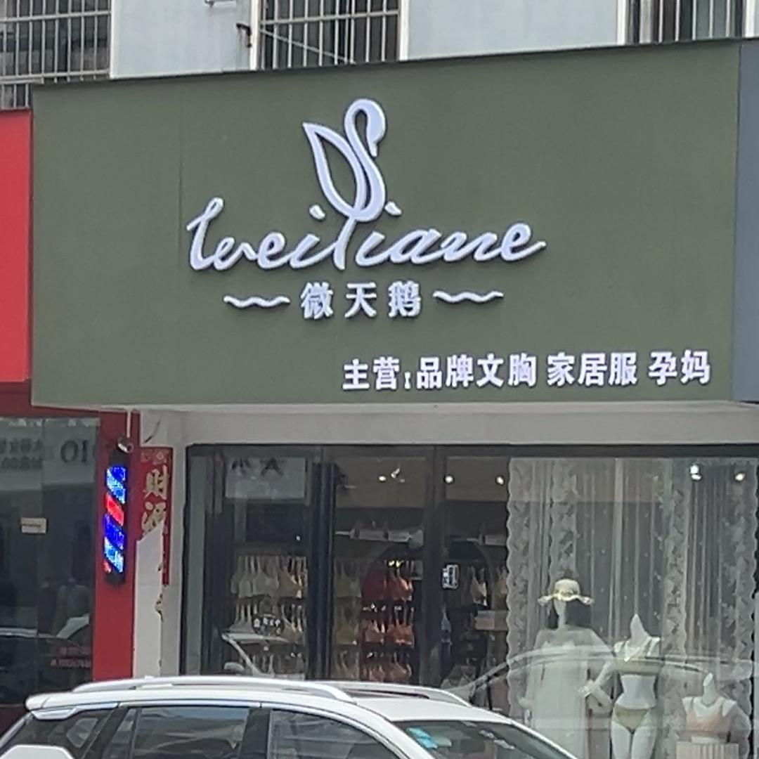泌阳县微天鹅内衣店