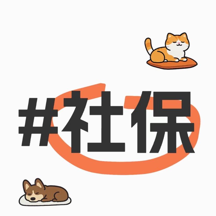 桃子老师分享社保